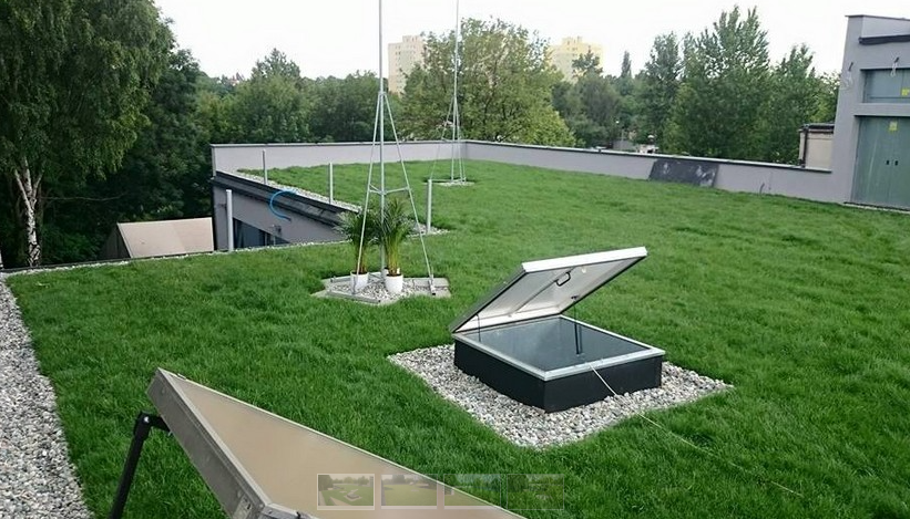 Zielony dach