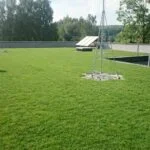 zielony dach